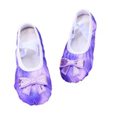 Sparkle Purple Ballet Shoes