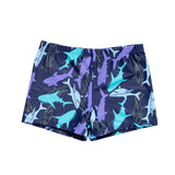 Sharks Swim Shorts