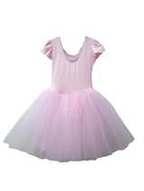 Lily Long Tulle Ballet Dress